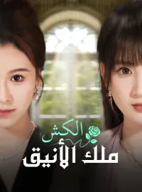 الكش ملك الأنيق