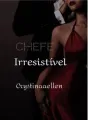 CHEFE IRRESISTÍVEL cover