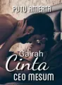 GAIRAH CINTA CEO MESUM cover