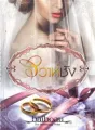วิวาห์ชัง ชุด เจ้าสาวพรหมจรรย์ของมหาเศรษฐี cover