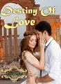 DESTINY OF LOVE cover