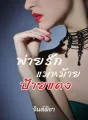พ่ายรักแม่หม้ายป้ายแดง cover