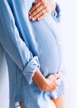 Vierge et Enceinte 