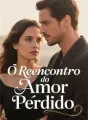 O Reencontro do Amor Perdido cover
