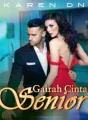 Gairah Cinta Senior cover