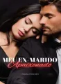 Meu ex marido apaixonado cover