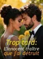 Trop tard : L'innocent traître que j'ai détruit cover
