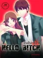 HELLO BITCH ฉันมันวายร้าย cover