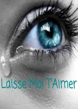 Laisse moi t'aimer