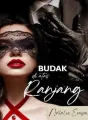 Budak di atas Ranjang cover