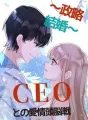 ～政略結婚～CEOとの愛情頭脳戦 cover