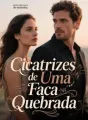 Cicatrizes de Uma Faca Quebrada cover
