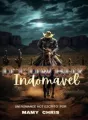 O COWBOY cover