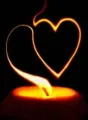 Ravivre la flamme  cover