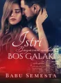 Istri Bayaran Untuk Bos Galak cover