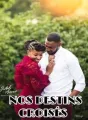 NOS DESTINS CROISÉS cover