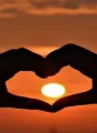Cilada do amor  cover