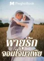 พายุรักจอมใจมาเฟีย cover