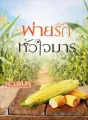 พ่ายรัก หัวใจมาร cover
