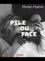 Pile ou face ( 3) : Final cover