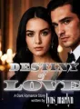 Cantika : DESTINY OF LOVE cover