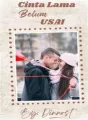 CINTA LAMA BELUM USAI cover
