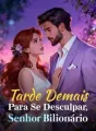 Tarde Demais Para Se Desculpar, Senhor Bilionário cover