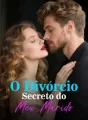 O Divórcio Secreto do Meu Marido cover