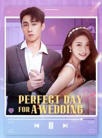Perfect Day for a WeddingShort Dramas