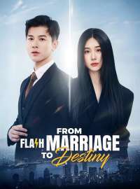 From Flash Marriage To DestinyShort Dramas