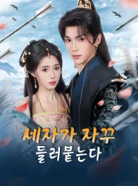 세자가 자꾸 들러붙는다