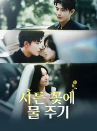 시든 꽃에 물 주기