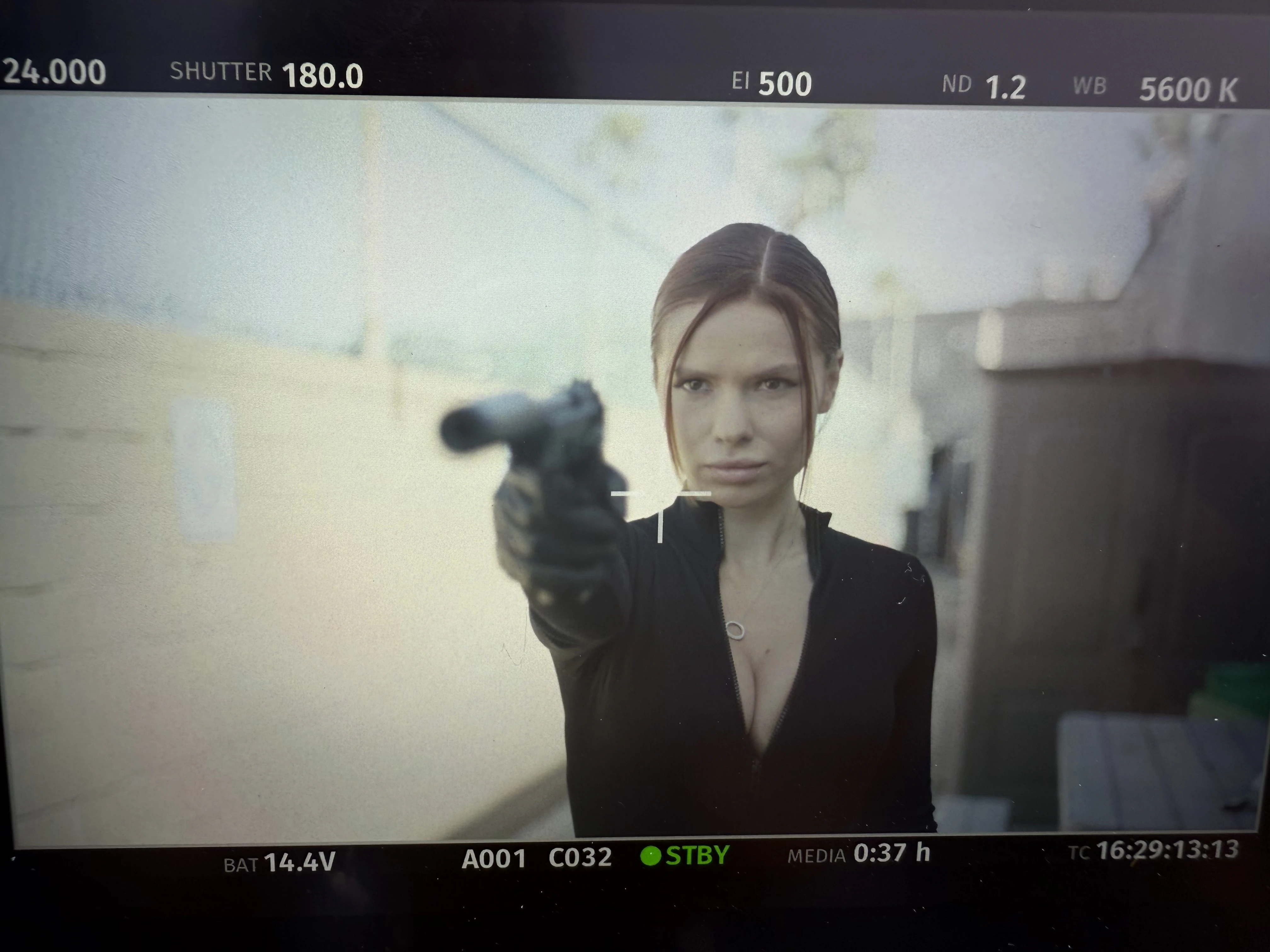 Diana Domna Wallpaper