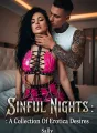 Sinful Nights: A Collection Of Erotic Desires cover
