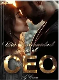 Una oportunidad para el CEO