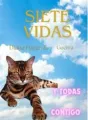 Siete vidas Y todas contigo cover