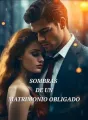 SOMBRAS DE UN MATRIMONIO OBLIGADO cover