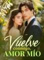 Vuelve conmigo, amor mío cover