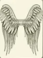 Alas del destino cover