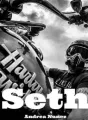 Seth (#5 Mc Demons Kings) cover
