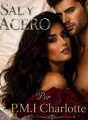 Sal Y Acero cover