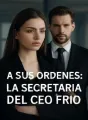 A sus ordenes: La secretaria del CEO frio cover