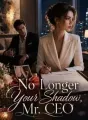 No Longer Your Shadow, Mr. CEO cover