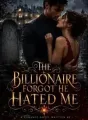The Billionaire Forgot He Hated Me cover
