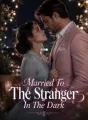 Married To The Stranger In The Dark cover