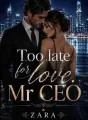 Too late for love: mr ceo cover
