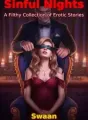 Sinful Nights: A Filthy Collection of Erotic Stories cover