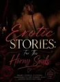 Erotic Stories For The Horny Souls  cover