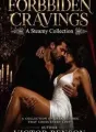 FORBIDDEN CRAVINGS(EROTICA SHORTS) cover