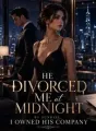 He Divorced Me At Midnight, By Sunrise I Owned His Company cover